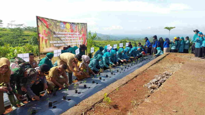 Gerakan Tanam Cabai di Kawali Ciamis, Ketua TP PKK: untuk Kendalikan Inflasi