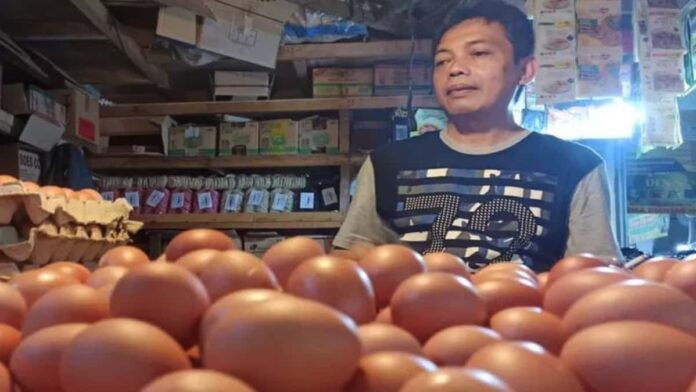 harga telur ayam merangkak naik