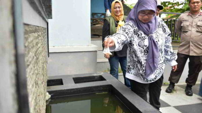 Kasus Demam Berdarah Dengue