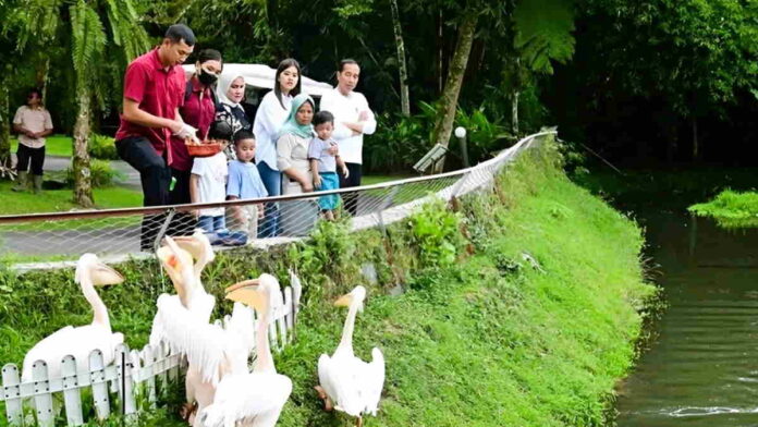 Presiden Jokowi Bersama Keluarga Menikmati Wisata Satwa di Sumatera Utara