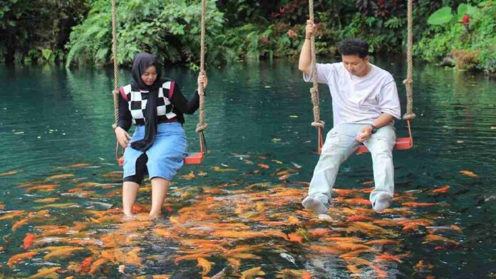 Situ Cipanten Majalengka Keindahan Ikan Berwarna