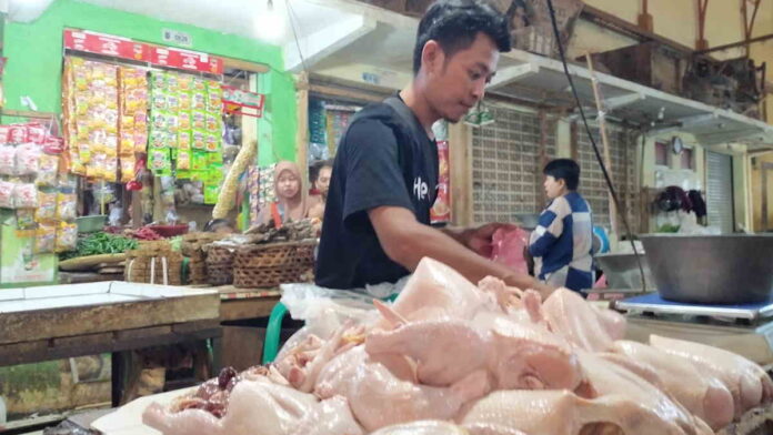 Usai Lebaran Harga Kebutuhan Pokok di Pasar Banjar Kembali Normal, Daging Ayam Masih Rp 40 Ribu