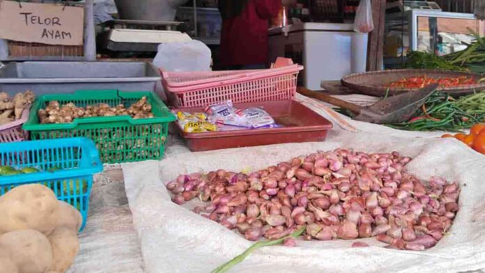 harga bawang merah di pasaran