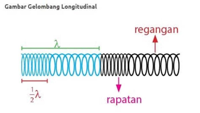 Contoh Gelombang Longitudinal dengan Karakteristiknya dalam Kehidupan