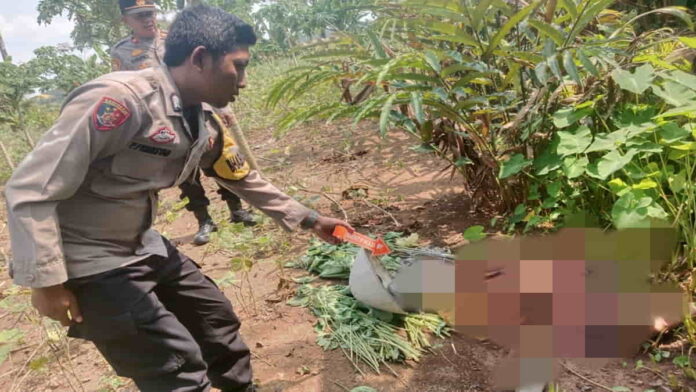 Kakek Asal Lakbok Ciamis Ditemukan Tewas di Kebun