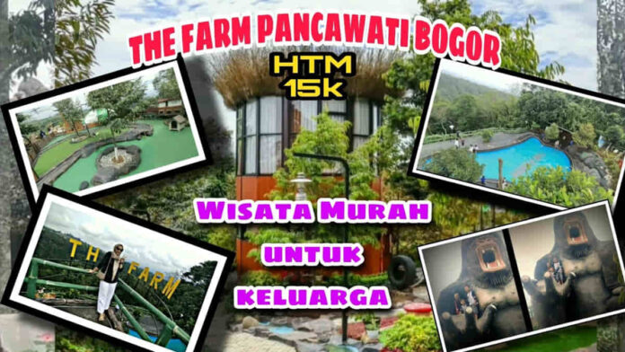 The Farm Pancawati Bogor, Ada Kolam Renang dan Mini Zoo