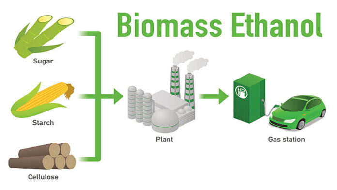 4 Perbedaan Biogas dan Biomassa yang Jarang Orang Ketahui