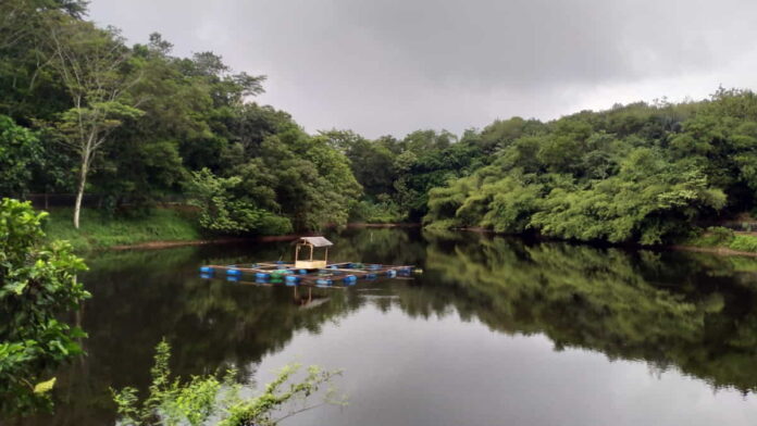 Air Situ Leutik Kota Banjar