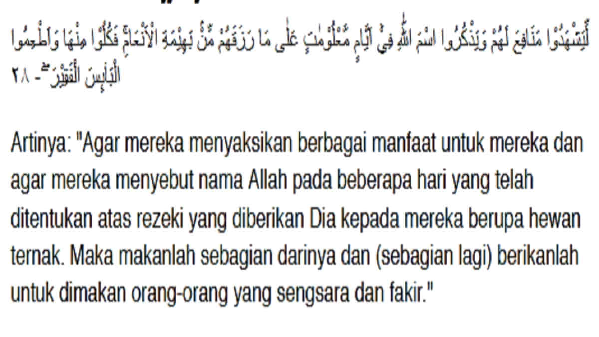 Ayat Al Quran Tentang Qurban, Dasar Hukum Perintah Allah SWT