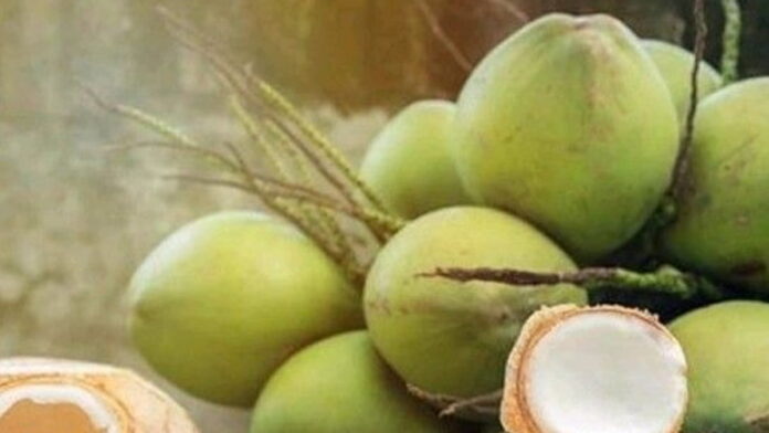 Harga kelapa di Pangandaran