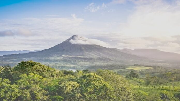 Gunung Pancar Bogor dengan Hutan Pinus yang Terkenal