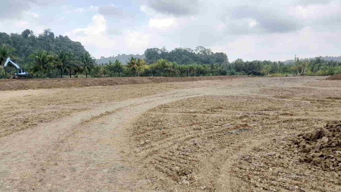 Lahan Garapan Sawah Diganti Tambak Udang, Petani Penggarap di Pamotan Pangandaran Khawatir Kerja Apa