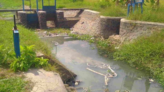 Sungai Ciputrahaji Banjarsari Ciamis Tercemar Limbah Tempe, Airnya Hitam dan Bau