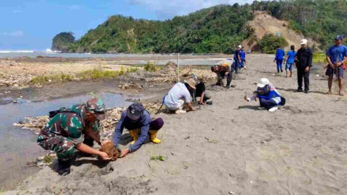 Tanam pohon Pangandaran