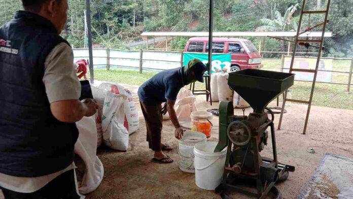 Harga Jual Biji Kopi Robusta Siap Giling Naik, Berkah Buat Petani di Cipaku Ciamis