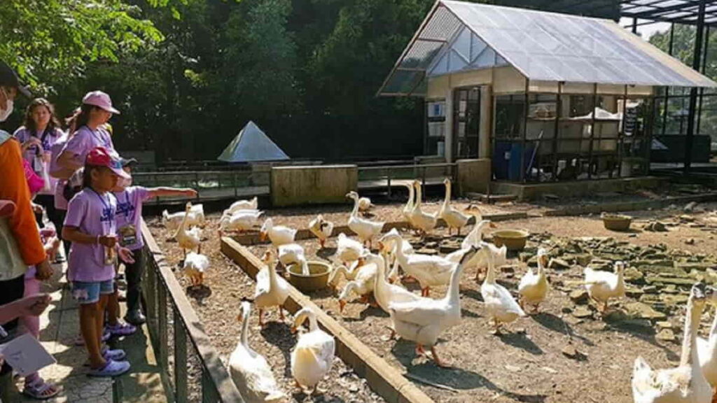 Kuntum Farmfield dan Nurseries, Wisata Edukasi Populer di Bogor