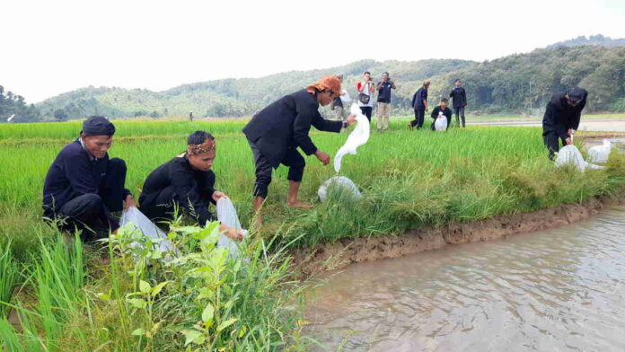 Ngalarung di Rawa Onom Kota Banjar