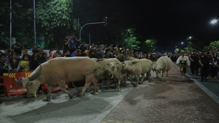 Sejarah Kebo Bule Surakarta, Perayaan Malam 1 Suro