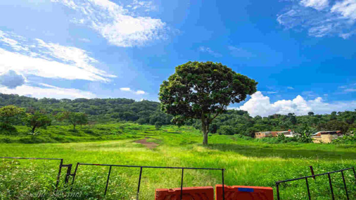 Gunung Bohong Cimahi, Wisata Indah Cocok untuk Pendaki Baru