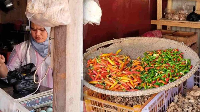 Harga Cabai Rawit Melambung