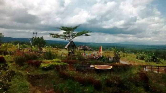 Destinasi Wisata Kampung Sawah