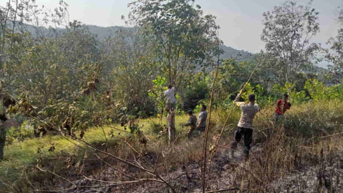 lahan yang terbakar di Pataruman