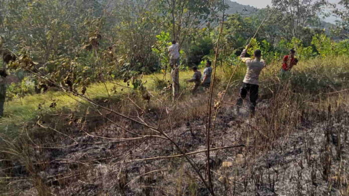 Kebakaran Lahan Hutan terjadi di Kota Banjar