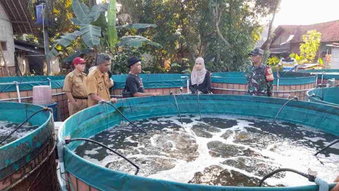 Kelompok Pembudidaya Ikan