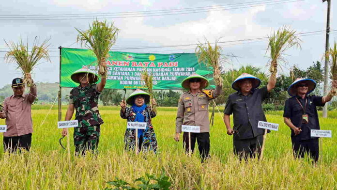 Panen Raya Padi Varietas Inpari di Kota Banjar