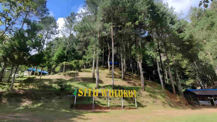 Situ Wulukut Kuningan, Eksplore Keindahan Alam di Tengah Hutan