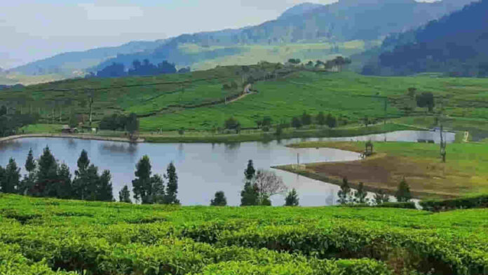 Telaga Saat Bogor, Sajikan Lanskap Alam Permai nan Damai