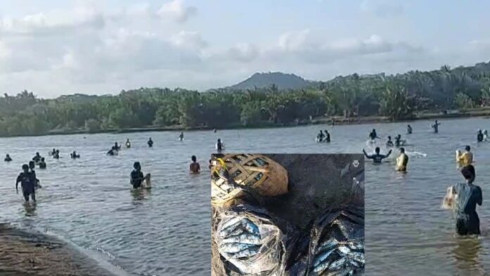 Warga berburu ikan japuh di Pantai Cipatujah Tasikmalaya