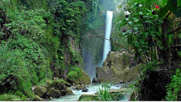 Daya Tarik Curug Lembah Pelangi Bogor yang Tidak Ada Duanya