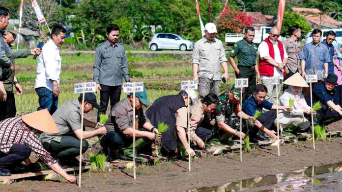 Gerakan Tanam Padi di Budiharja Ciamis