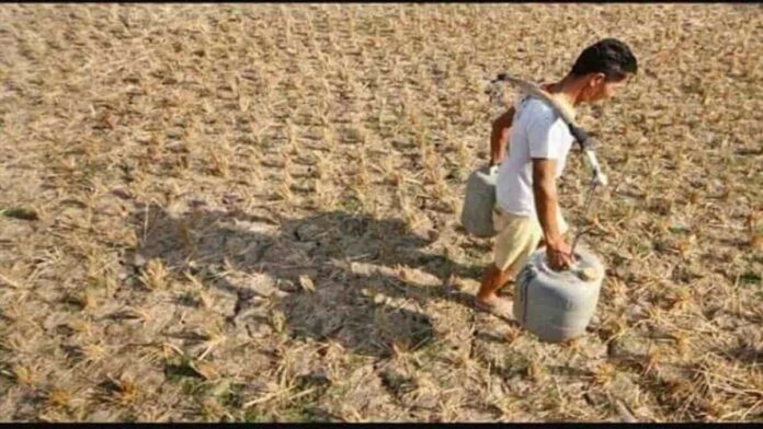 lahan sawah di Kota Bandung mengalami kekeringan