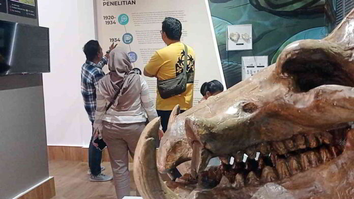 Melihat Koleksi Museum Fosil Tambaksari Ciamis