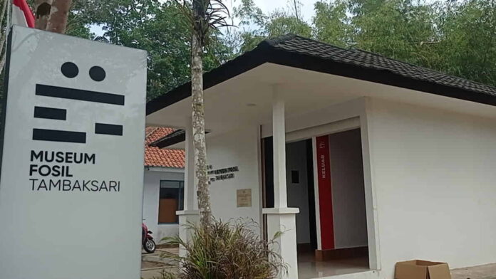 Pengembangan Museum Fosil Tambaksari