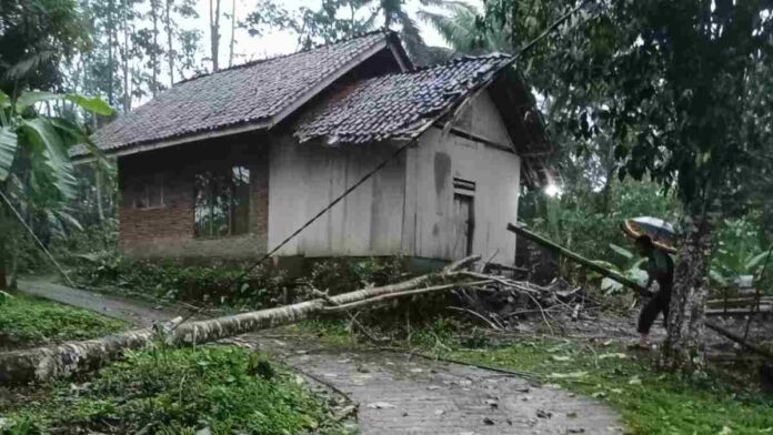 Pohon rumah kepala dusun