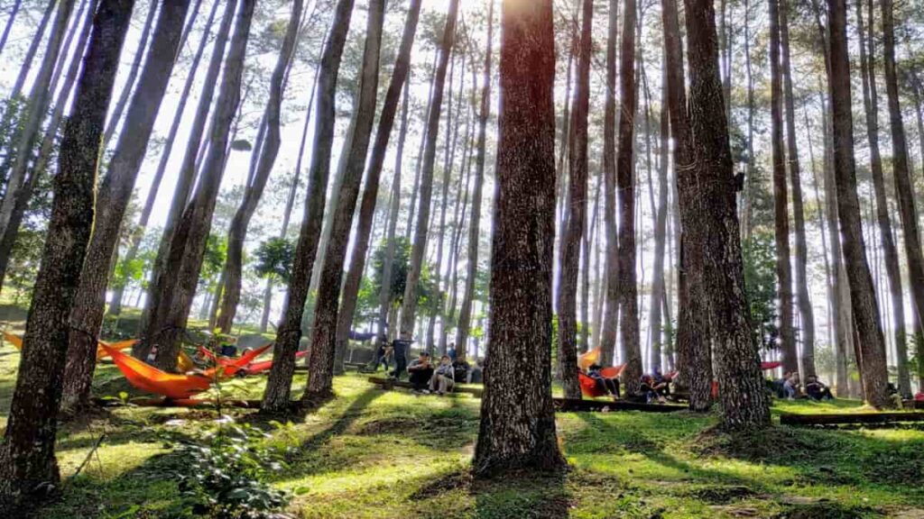 Wisata Batu Kuda Bandung, Nikmati Pesona Alam yang Segar