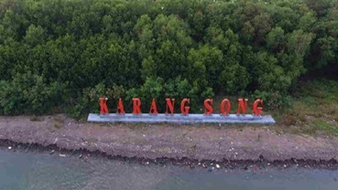 Wisata Edukasi di Hutan Mangrove Pantai Lestari Karangsong