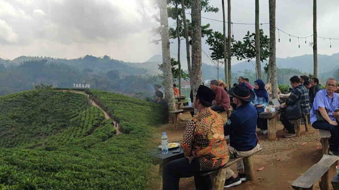 Keindahan Taraju Tasikmalaya, Ngopi Sambil Melihat Pemandangan Kebun Teh