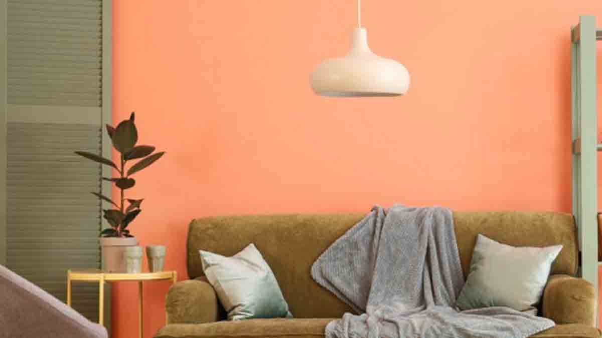 Cat Rumah Warna Peach Kombinasi Agar Interior Tampak Elegan