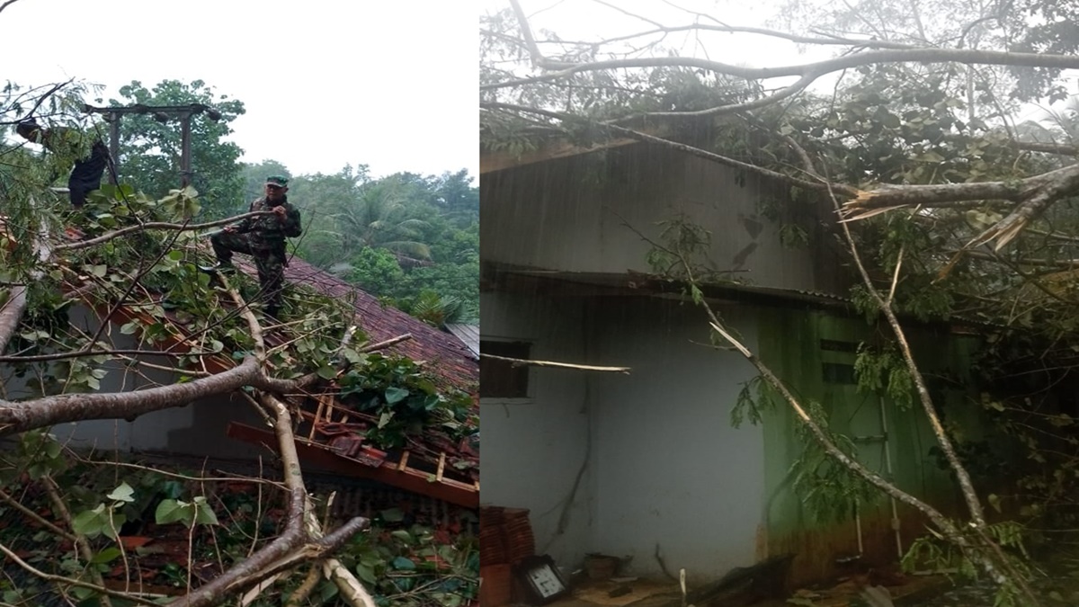 Ciamis Dikepung Bencana saat Hujan Deras, Pohon Tumbang hingga Rumah Jebol