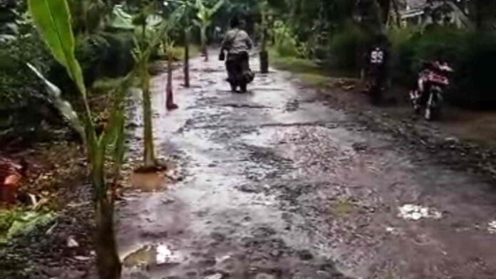 Tanam Pohon Pisang