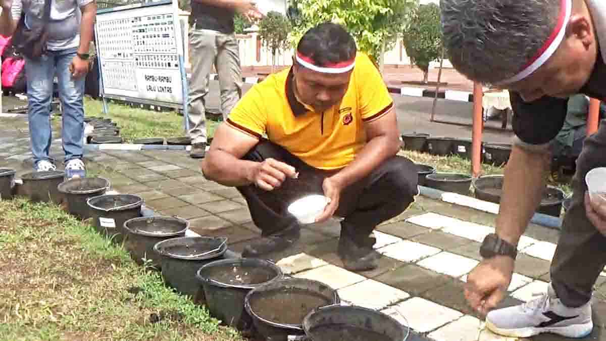 Polres Sumedang Gaungkan Program Pekarangan Pangan Bergizi Lewat Lomba Tanam Padi di Ember