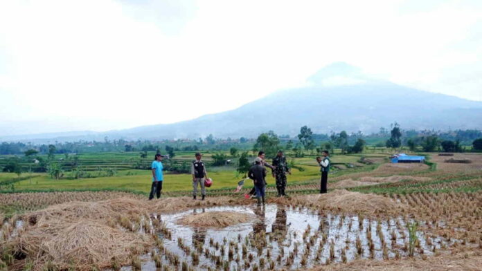 Pelajar Asal Garut Tewas Tersambar Petir