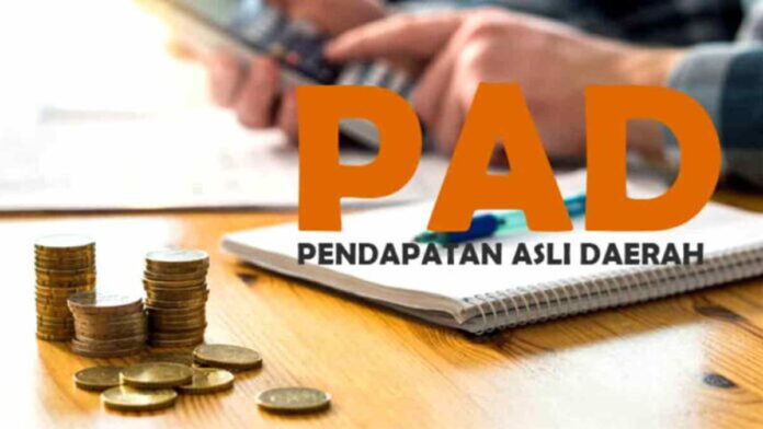 Realisasi Capaian PAD Kota Banjar Baru 68 Persen