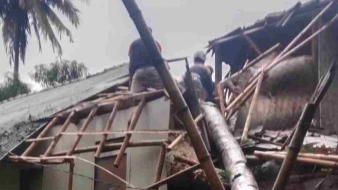 Rumah tertimpa pohon kelapa