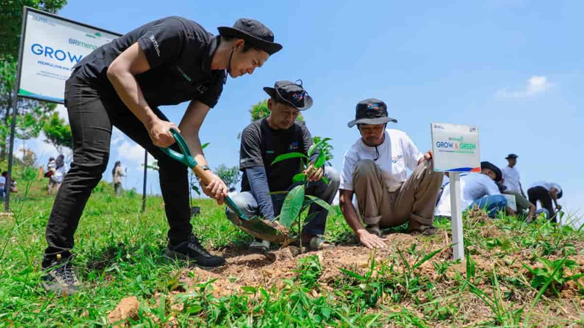 Aksi Nyata Kelompok Tani Bersama BRI Menanam-Grow & Green Pulihkan Hutan Bekas Tambang di Bogor