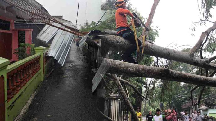 Atap Rumah Terbang